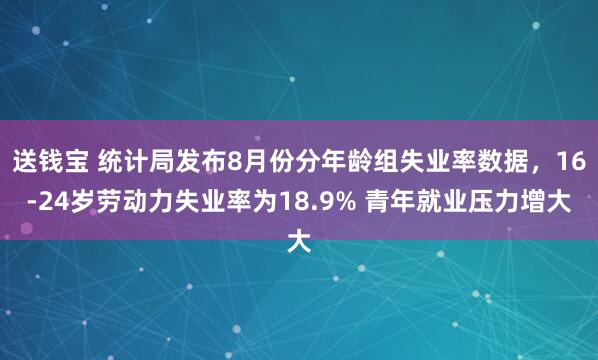 送钱宝 统计局发布8月份分年龄组失业率数据，16-24岁劳动力失业率为18.9% 青年就业压力增大