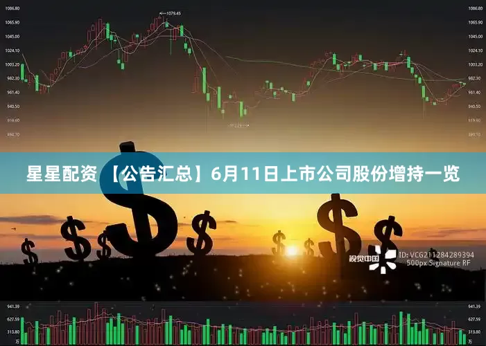 星星配资 【公告汇总】6月11日上市公司股份增持一览